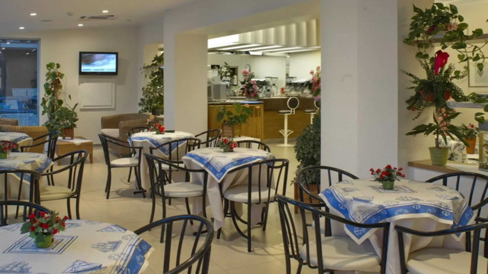 **  Hotel Nives 리치오네 이탈리아